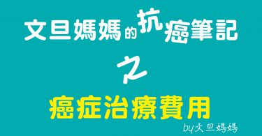 文旦媽媽的抗癌筆記之癌症治療費用