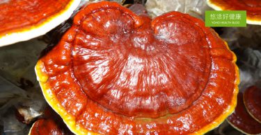 靈芝