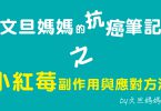 文旦媽媽的抗癌筆記之小紅莓副作用與應對方法