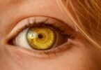 一隻黃色的眼睛