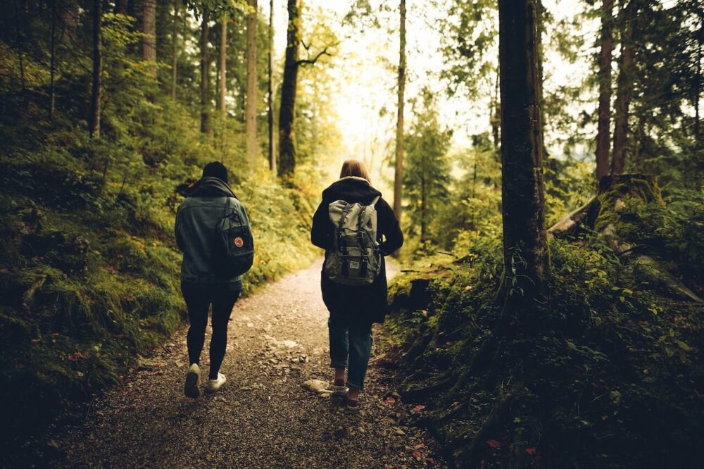 2個人在森林散步