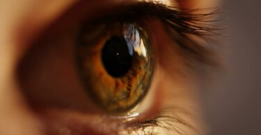 【眼疾檢測懶人包】一次看懂黃斑部病變、青光眼、白內障、乾眼症的自我檢測