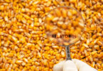 Aflatoxin